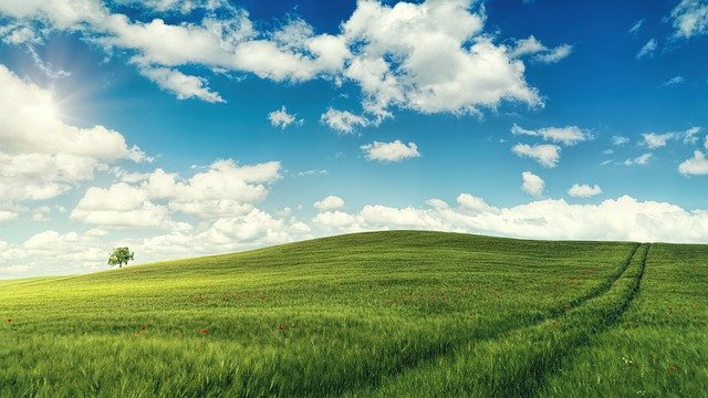 轉知：財團法人中國信託反毒教育基金會辦理反毒桌遊培訓計畫